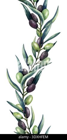 Bordure verticale sans couture de branche d'olivier à l'aquarelle. Olives vertes et foncées, feuilles. Répétition d'un arrière-plan isolé. Illustration botanique pour Banque D'Images