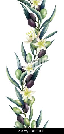 Bordure verticale sans couture de branche d'olivier à l'aquarelle. Olives vertes et foncées, feuilles luxuriantes. Répétition du motif isolé de l'arrière-plan. Illustration pour Banque D'Images