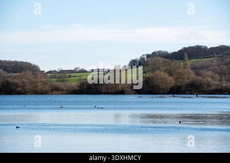 Vue hivernale sur les zones humides de la réserve naturelle d'Attenborough à Nottingham, au Royaume-Uni. Banque D'Images