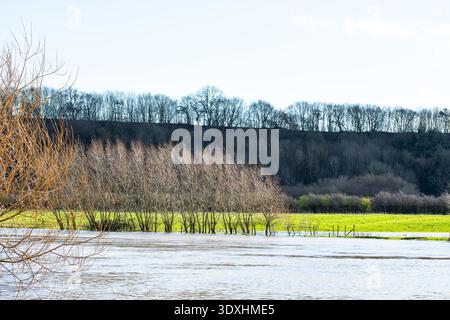 Vue hivernale sur les zones humides de la réserve naturelle d'Attenborough à Nottingham, au Royaume-Uni. Banque D'Images