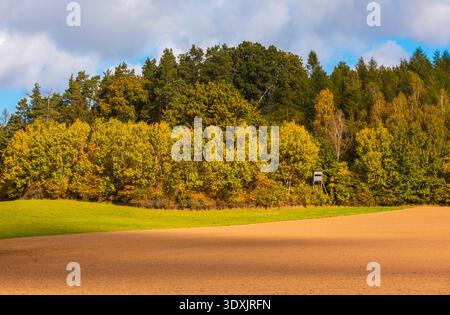 Forêt mixte montrant des couleurs d'automne vibrantes bordant une bande d'herbe verte et de la terre fraîchement labourée sous un ciel nuageux, Pologne. Banque D'Images