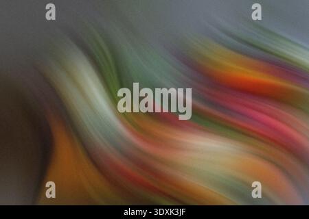 Une vue abstraite floue mettant en valeur un mélange de couleurs vives créant une expérience visuelle fascinante et artistique Banque D'Images