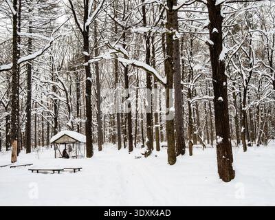 bancs couverts de neige sur prairie enneigée dans le parc de la ville dans la soirée d'hiver après les chutes de neige Banque D'Images