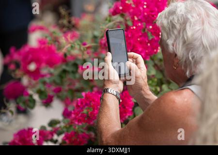 BANGKOK, THAÏLANDE-4 février 2026 : homme senior prenant des photos avec smartphone, connexion, technologie, gros plan, au marché de Wang Lang. Banque D'Images