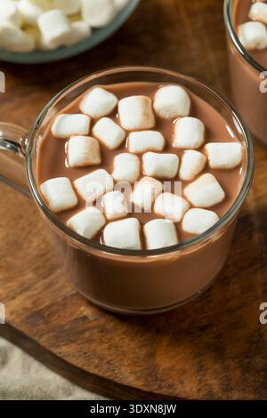 Chocolat chaud doux bio avec guimauves dans une tasse Banque D'Images
