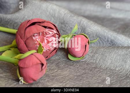 Fleurs de pivoine rose artificielles faites à la main sur fond de tissu sombre. Maquette pour carte de vœux. Concept floral romantique, mise en page. Copier l'espace. Gros plan. SOF Banque D'Images