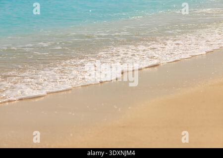 Le sable doré rencontre de douces vagues. L'océan scintille avec une teinte turquoise douce. La mousse murmure à mesure que la marée recule. La plage ensoleillée invite au calme et à la détente. Perfe Banque D'Images