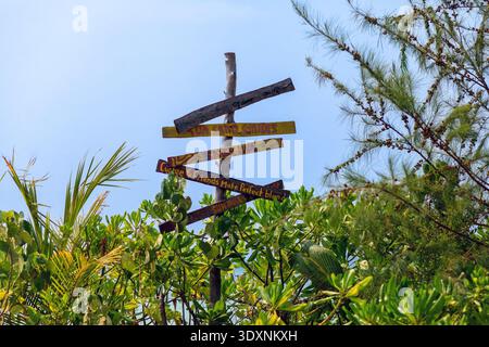 Cadres de feuillage tropical panneaux en bois altérés. Le ciel bleu contraste avec les marqueurs directionnels rustiques et moussues. Chaque panneau porte des directi fanés, peints à la main Banque D'Images