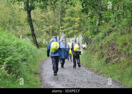 Pèlerins par temps pluvieux sur le sentier boisé sur le Camino Frances, chemin espagnol de nouveaux James, Galice, Espagne Banque D'Images