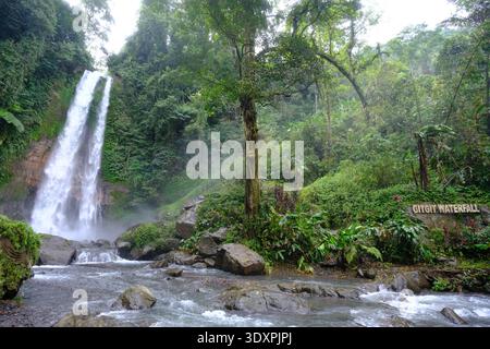 L'emblématique cascade de Gitgit descend en cascade à 35 mètres sur une falaise rocheuse, entourée d'une forêt tropicale luxuriante et d'un feuillage vert dense dans le nord de Bali. Banque D'Images