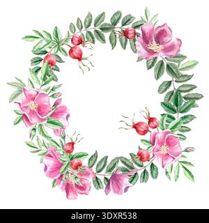 Un cadre rond avec des hanches roses et des fleurs. Illustration d'aquarelle isolée pour les dessins sur le thème de la tisane, l'image de marque culinaire et liée à la nature, Enviro Banque D'Images