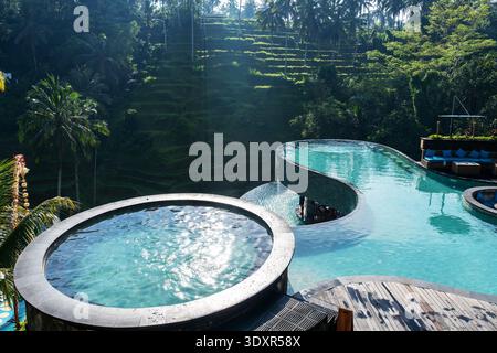 Piscine à débordement de luxe surplombant les rizières tropicales luxuriantes de Bali. Belle lumière du soleil du matin se reflétant sur l'eau, parfait pour les voyages, les vacances. Banque D'Images
