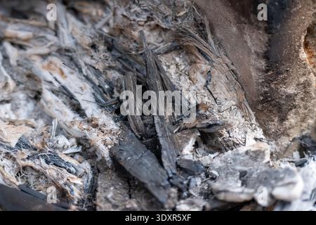 Gros plan de cendres grises et de fragments de bois carbonisés noirs Banque D'Images