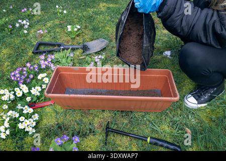 Une femme verse la terre de mise en pot fraîche d'un sac brun dans un long planteur de fleurs. Elle travaille soigneusement sur une pelouse verte tout en se préparant à la plantation de printemps. Banque D'Images