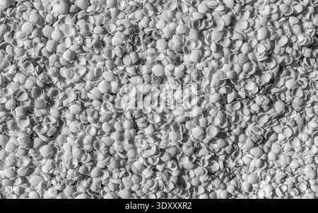 Texture abstraite à contraste élevé avec motifs organiques Banque D'Images