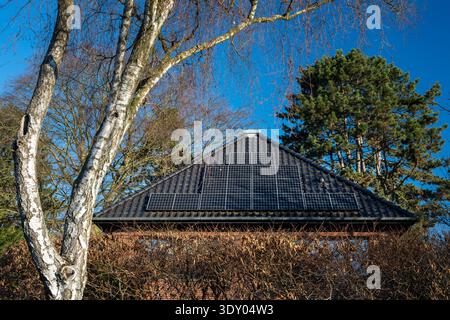 Panneaux photovoltaïques sur le toit d'une maison unifamiliale Banque D'Images