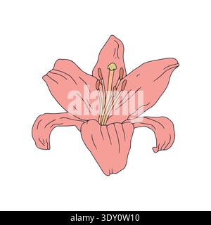 Ligne dessinée à la main art pastel rose fleur de lys clip art Illustration de Vecteur