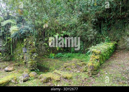Vestiges d'une maison coloniale en pierre sur le côté du chemin de terre entre Ariri et Cananéia, San Paulo, Brésil Banque D'Images