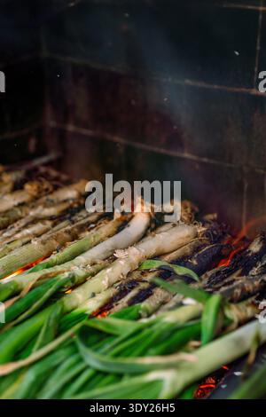 Calcottes catalanes traditionnelles rôtissant sur un grill ouvert au feu de bois, gros plan d'oignons verts étant carbonisés lors d'un barbecue typique de calcotada en Espagne Banque D'Images