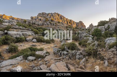Paysage spectaculaire de Torcal de Antequera avec des roches calcaires escarpées et une végétation clairsemée sous la douce lumière du soir. Banque D'Images