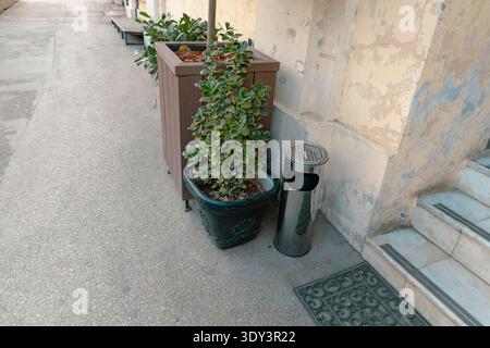 Arbuste en pot urbain à côté de Metal Street Bin Banque D'Images
