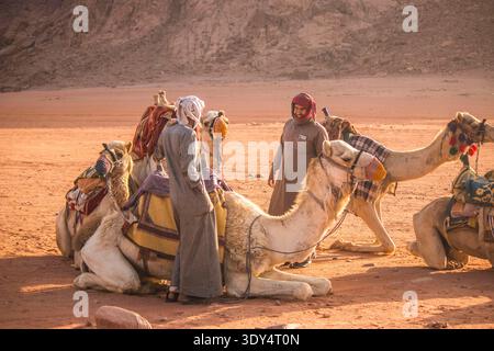 Deux hommes bédouins avec des chameaux au lever du soleil dans le désert de Wadi Rum, Jordanie ; robe traditionnelle, authentique culture du moyen-Orient. Banque D'Images