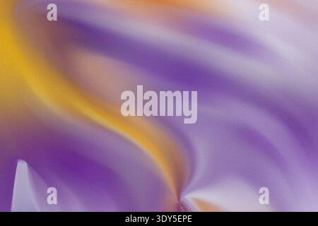 Art fluide abstrait avec tourbillonnement violet jaune et blanc créant une composition dynamique et vibrante Banque D'Images