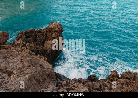 Mouettes sur rocher au-dessus de la mer turquoise, sa Calobra Mallorca Banque D'Images