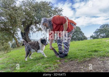 Femme avec de longs cheveux gris se penchant vers le bas, tenant un bâton pour une collie de frontière sur une colline herbeuse verte sous un ciel bleu avec des arbres, profitant du temps dehors Banque D'Images