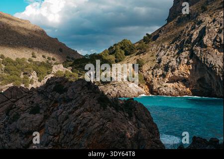PIN solitaire sur les falaises rocheuses, sa Calobra Mallorca Banque D'Images