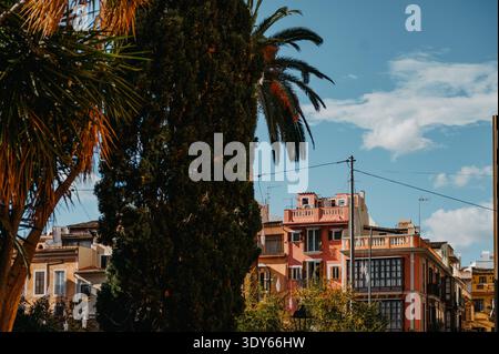 Bâtiments méditerranéens colorés à Palma de Majorque Banque D'Images