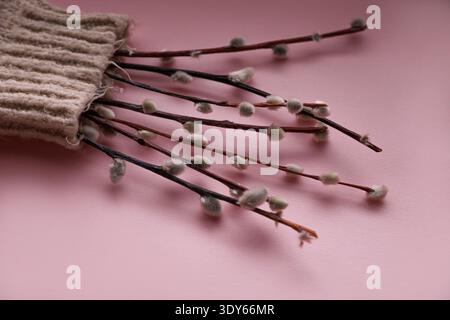 Petit bouquet de branches de saule et d'œufs sortant de la manche tricotée Banque D'Images