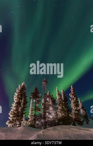 Des couleurs vives remplissent le ciel tandis que les aurores boréales dansent au-dessus d'une forêt boréale dans la nuit d'hiver Banque D'Images