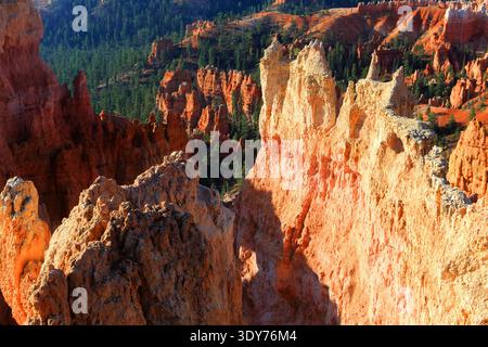 Explorez les formations rocheuses colorées sous la lumière du soleil dans le parc national de Bryce Canyon dans l'Utah Banque D'Images