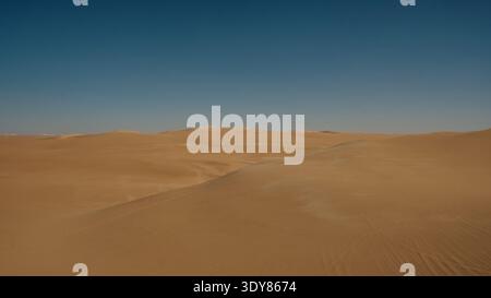 Sand dunes in desert Banque D'Images