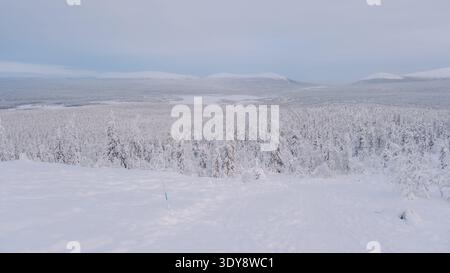 Explorez les merveilles hivernales à couper le souffle à Akaslompolo, en Laponie. La scène présente une vaste étendue d'arbres chargés de neige et de montagnes lointaines, invit Banque D'Images