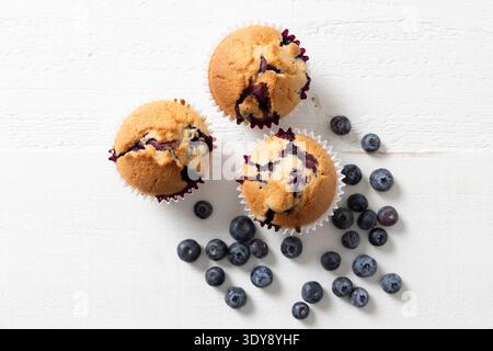 Vue aérienne de trois muffins aux myrtilles maison avec des myrtilles fraîches sur la surface blanche Banque D'Images