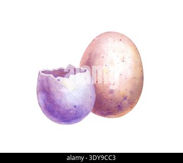 Un œuf rose entier et un violet cassé, dessiné à la main. Illustration aquarelle d'oeufs peints sur un fond isolé. Un élément peint traditionnel Banque D'Images