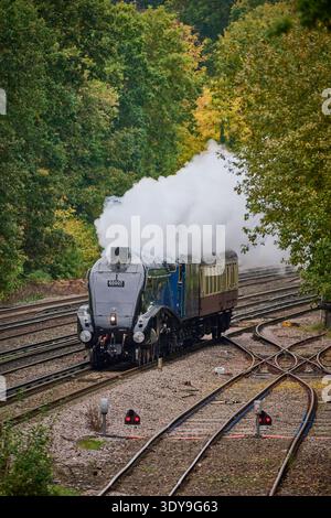 Class A4 60007 Sir Nigel Gresle approchant de Woking, Surrey, de retour de la Watercress Line le 16 octobre 2025 Banque D'Images
