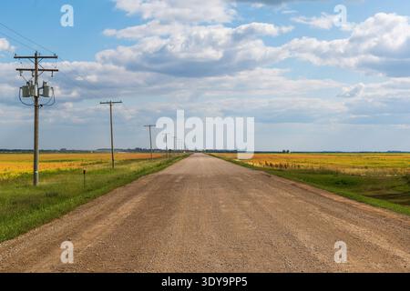 Un chemin de terre tranquille serpente entre de larges étendues de champs dorés, luisant sous un ciel de prairie partiellement ensoleillé. Banque D'Images