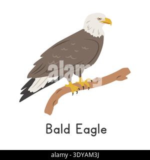 Aigle chauve perché sur l'illustration vectorielle de branche d'arbre, personnage clipart de bande dessinée, animal dans le style plat. Animaux sauvages, aviaire, concept d'oiseaux Illustration de Vecteur