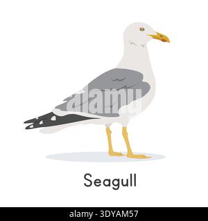Illustration vectorielle de mouette, personnage clipart de bande dessinée, animal dans le style plat. Animaux sauvages, aviaire, concept d'oiseaux. Conception de vecteur de mouette ou de mouette commune Illustration de Vecteur