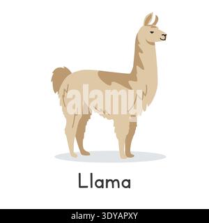 Illustration vectorielle lama. Mignon lama dessin animé clipart, animal dans un style plat. Concept d'animaux de ferme, agriculture rurale. Conception de vecteur de lama d'animal de bétail Illustration de Vecteur
