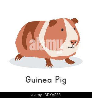 Illustration vectorielle de cochon de Guinée. Joli clipart de dessin animé de cobaye hollandais, animal dans un style plat. Concept d'animaux de ferme, agriculture rurale Illustration de Vecteur