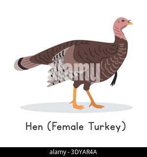 Illustration vectorielle de Turquie. Mignon mâle dinde dessin animé clipart, animal dans le style plat. Concept d'animaux de ferme, agriculture rurale Illustration de Vecteur