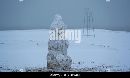 Bonhomme de neige solitaire debout dans un paysage hivernal tranquille Banque D'Images