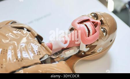 Mannequin de formation médicale montrant la bouche et les voies respiratoires ouvertes pour la simulation et l'éducation Banque D'Images