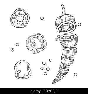 Croquis graphique de composition de piment frais tranchés à la main et de graines et tranches de piment pour les ingrédients ou la conception du produit Illustration de Vecteur