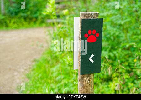 Un panneau de signalisation en bois présente un imprimé de pattes rouges et une flèche blanche pointant vers la gauche, entouré d'un feuillage vert luxuriant et d'un chemin de terre en arrière-plan. Banque D'Images