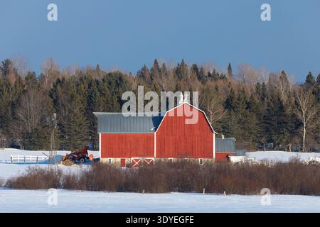 Une jolie ferme un jour d'hiver dans le nord du Wisconsin. Banque D'Images